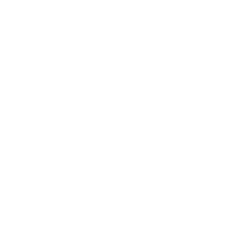 SNAAIES Icon